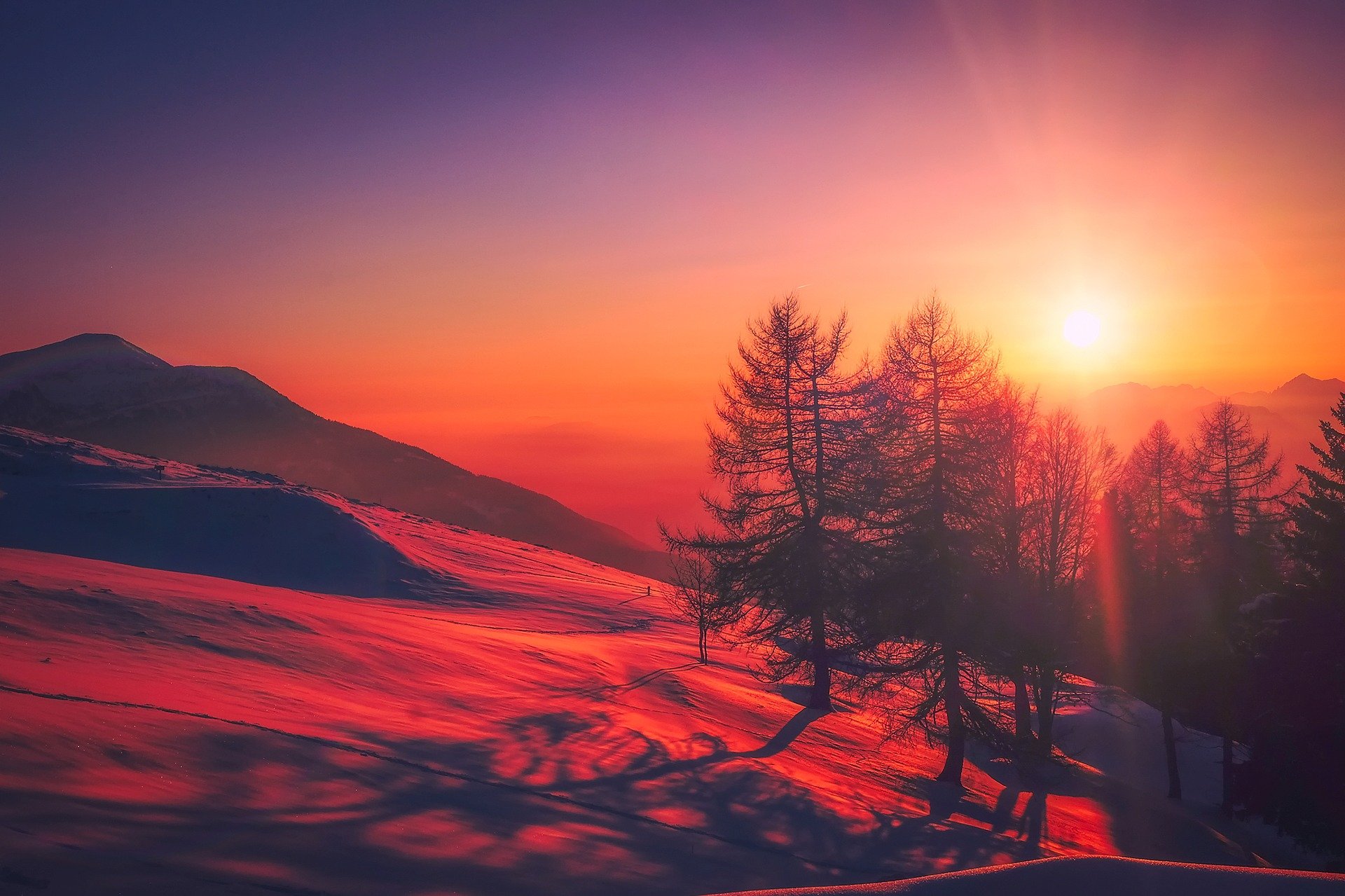 rood winter.jpg