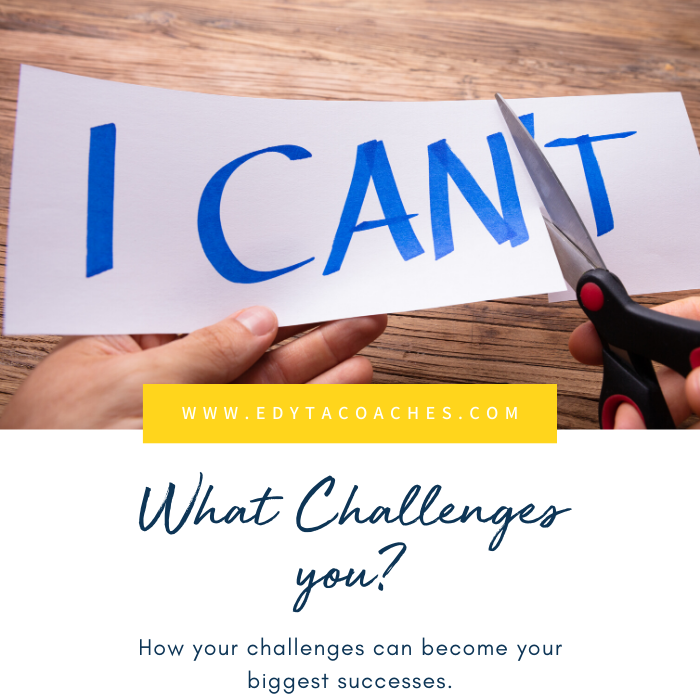 Challenge Defined