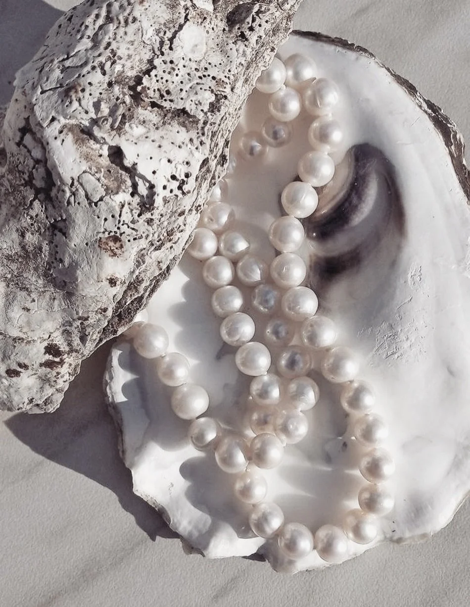 🐚