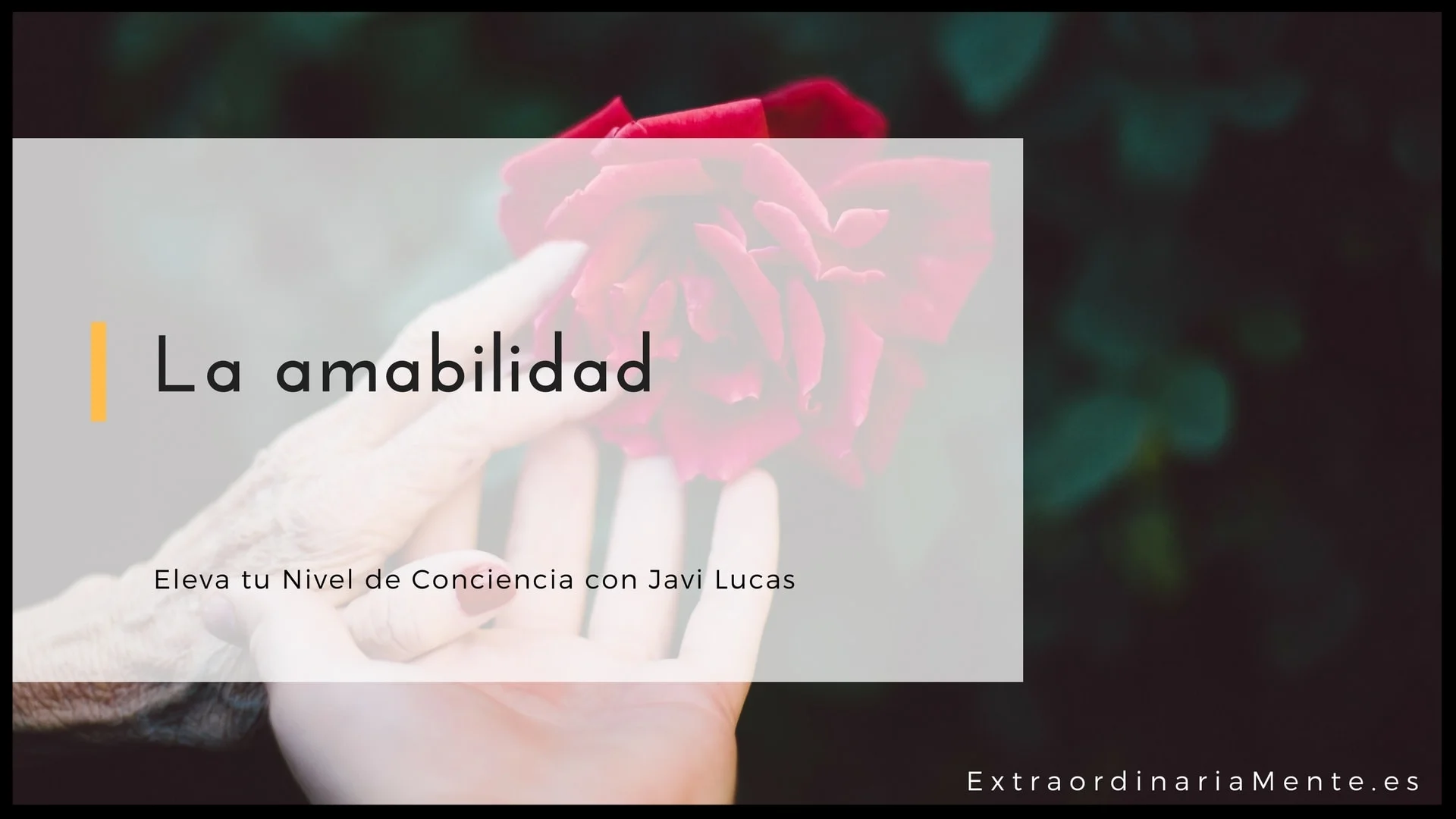 La amabilidad.jpg