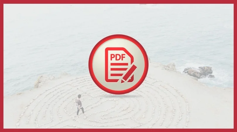 PDF-min.jpg