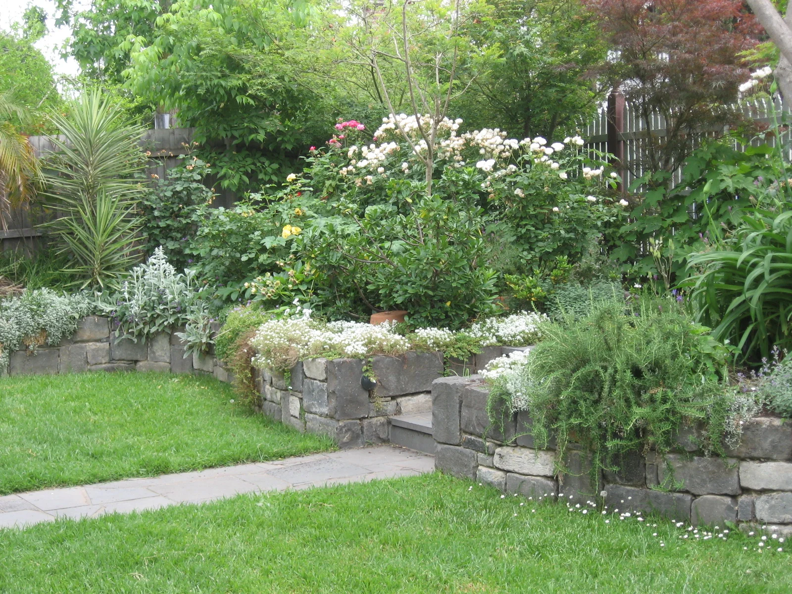 Design and build. Hawthorn