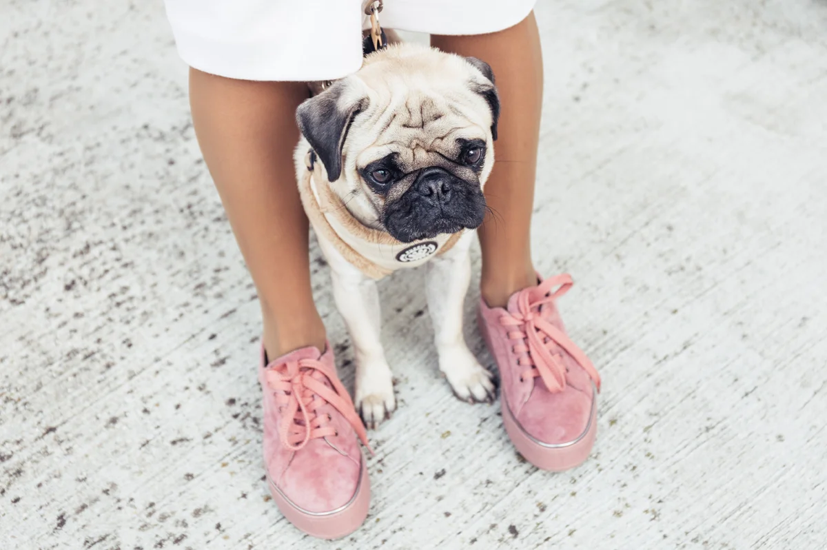 ISABEL_LOOK_BRANCO_ROSA-39.jpg