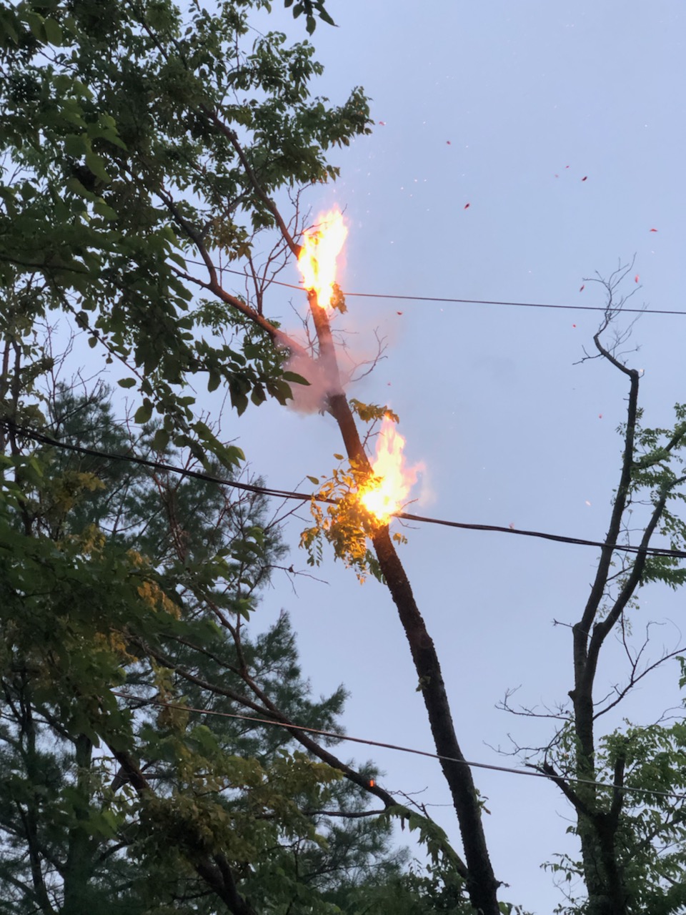  On 05/29/19, East Side Fire responded for a a tree down in power lines. The tree and lines eventually came down into the roadway.  