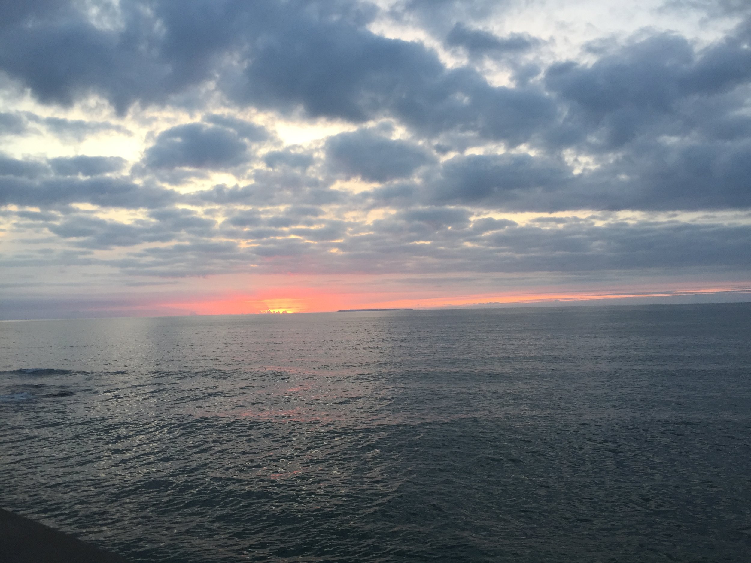 IMG_1809.jpeg