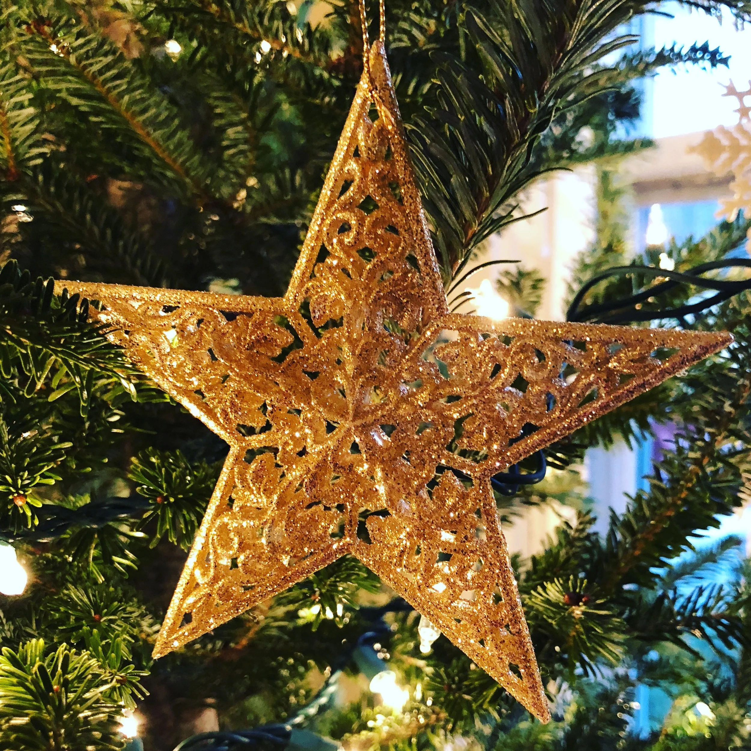 The Man in the Santa Hat