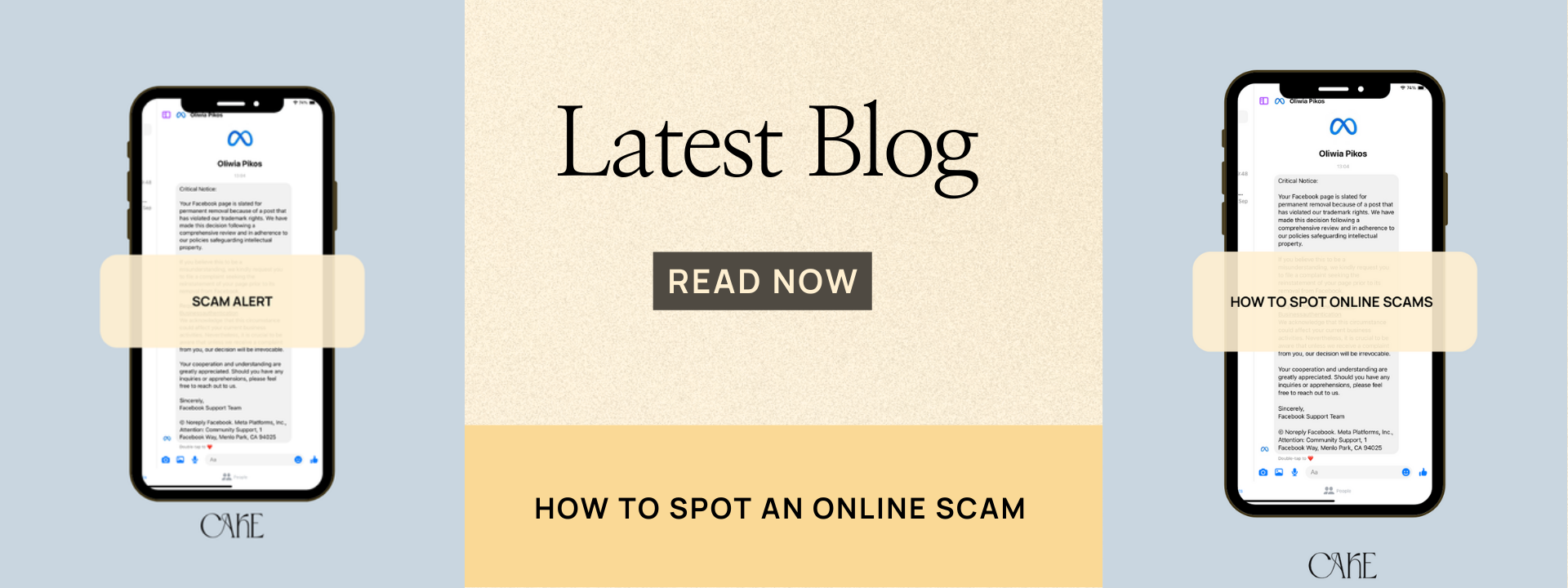 New Blog: How to Spot Online Scammers