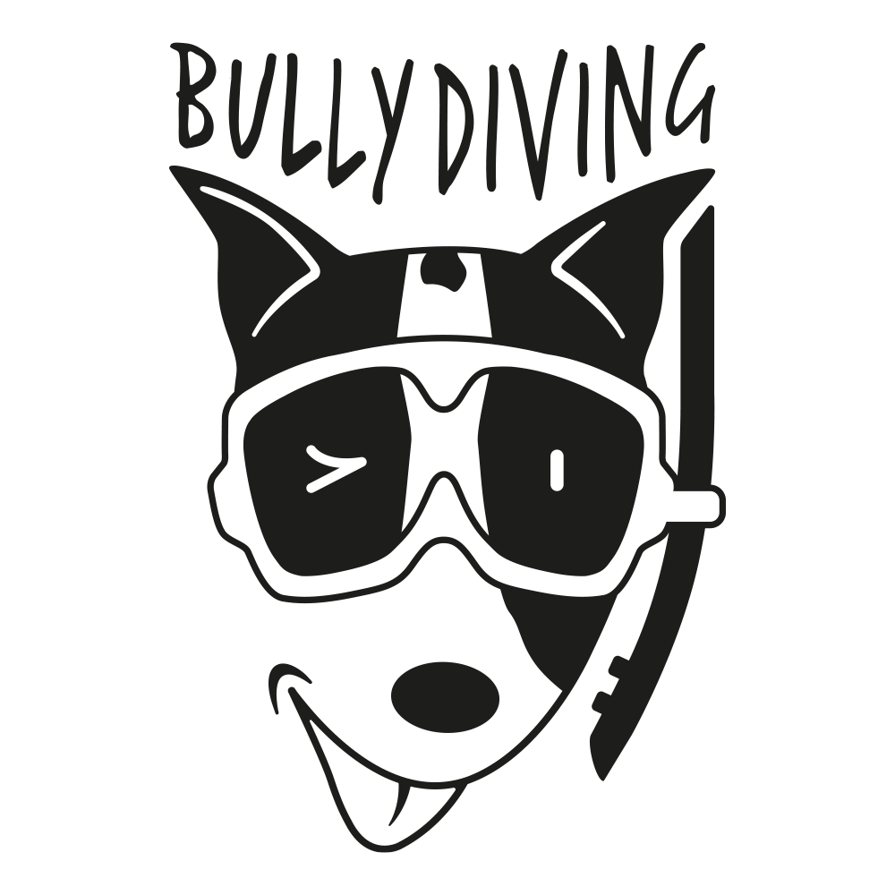 BULLY DIVING