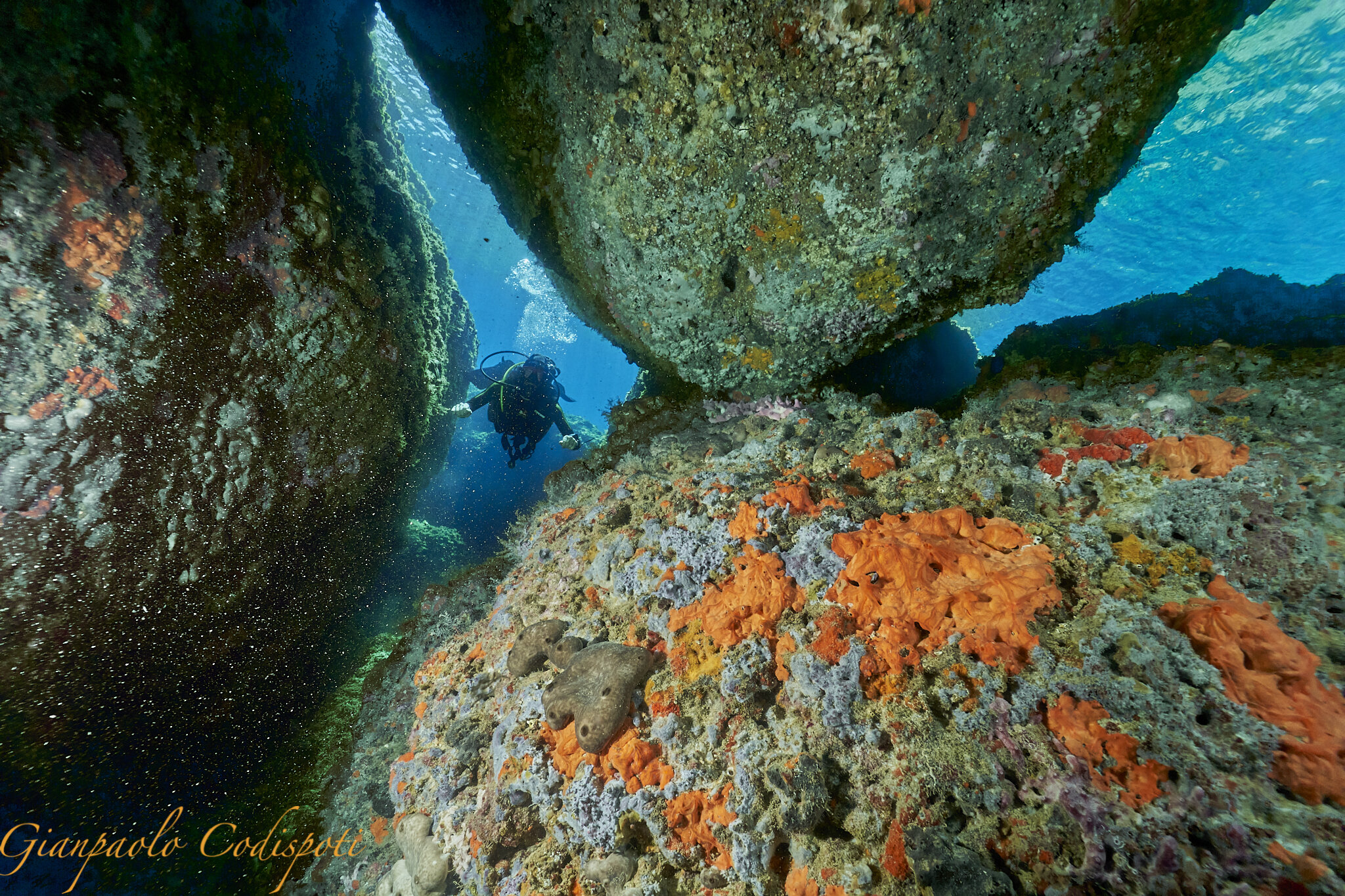 Bully Diving Isole Tremiti Ferraio a Terra.jpg