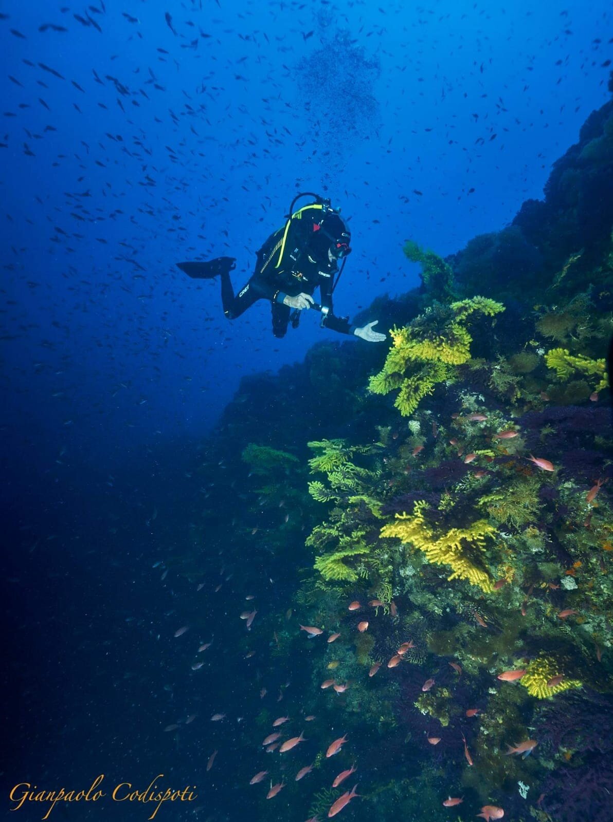 Bully Diving Punta Secca8.jpeg