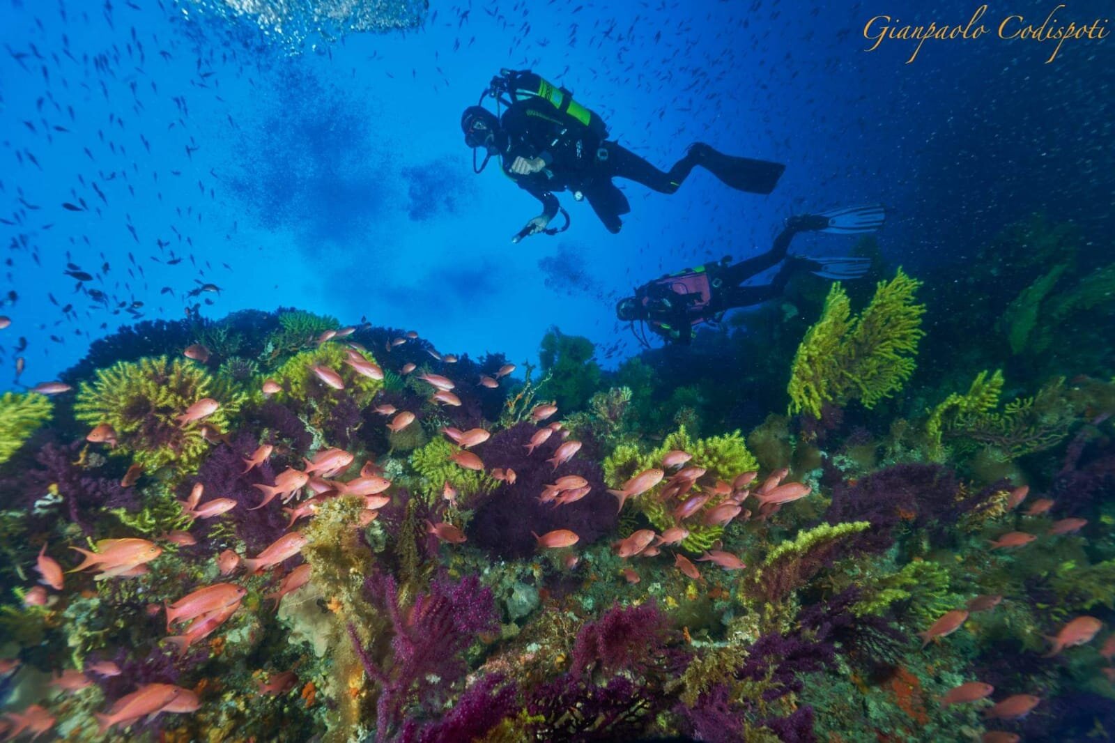 Bully Diving Punta Secca11.jpeg