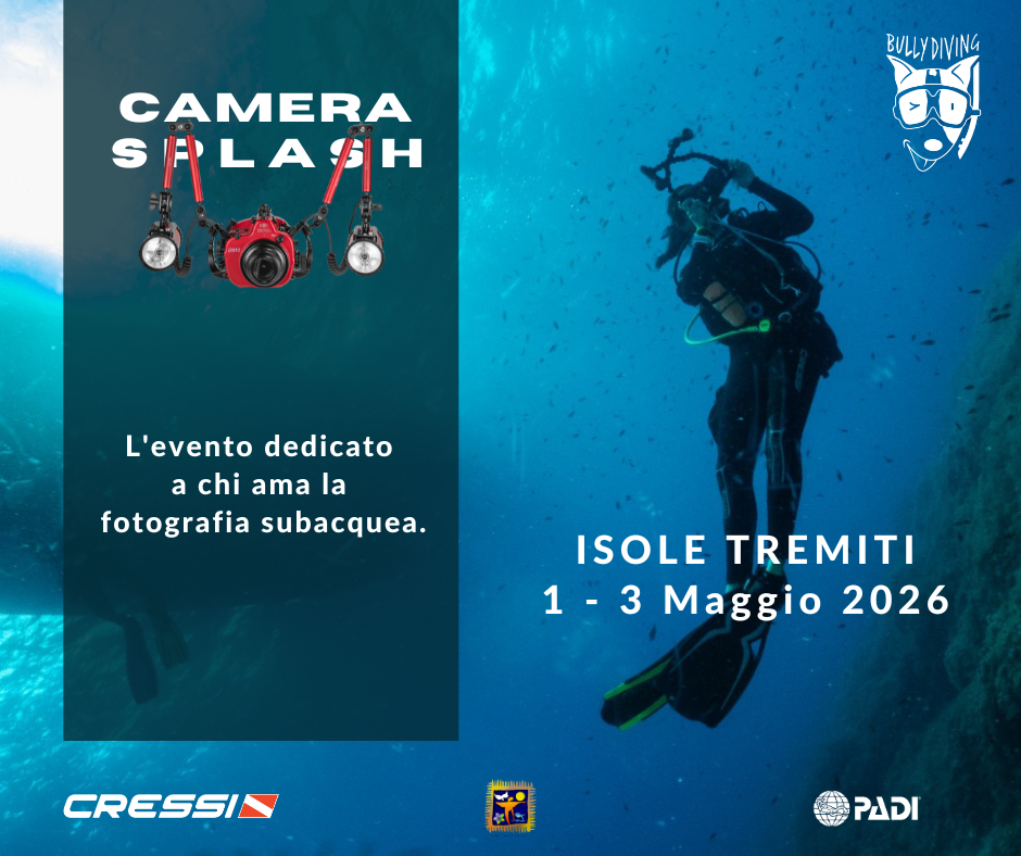 Acqua Splash 