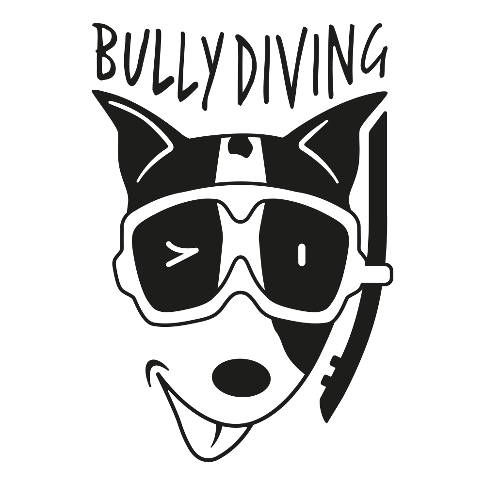 BULLY DIVING