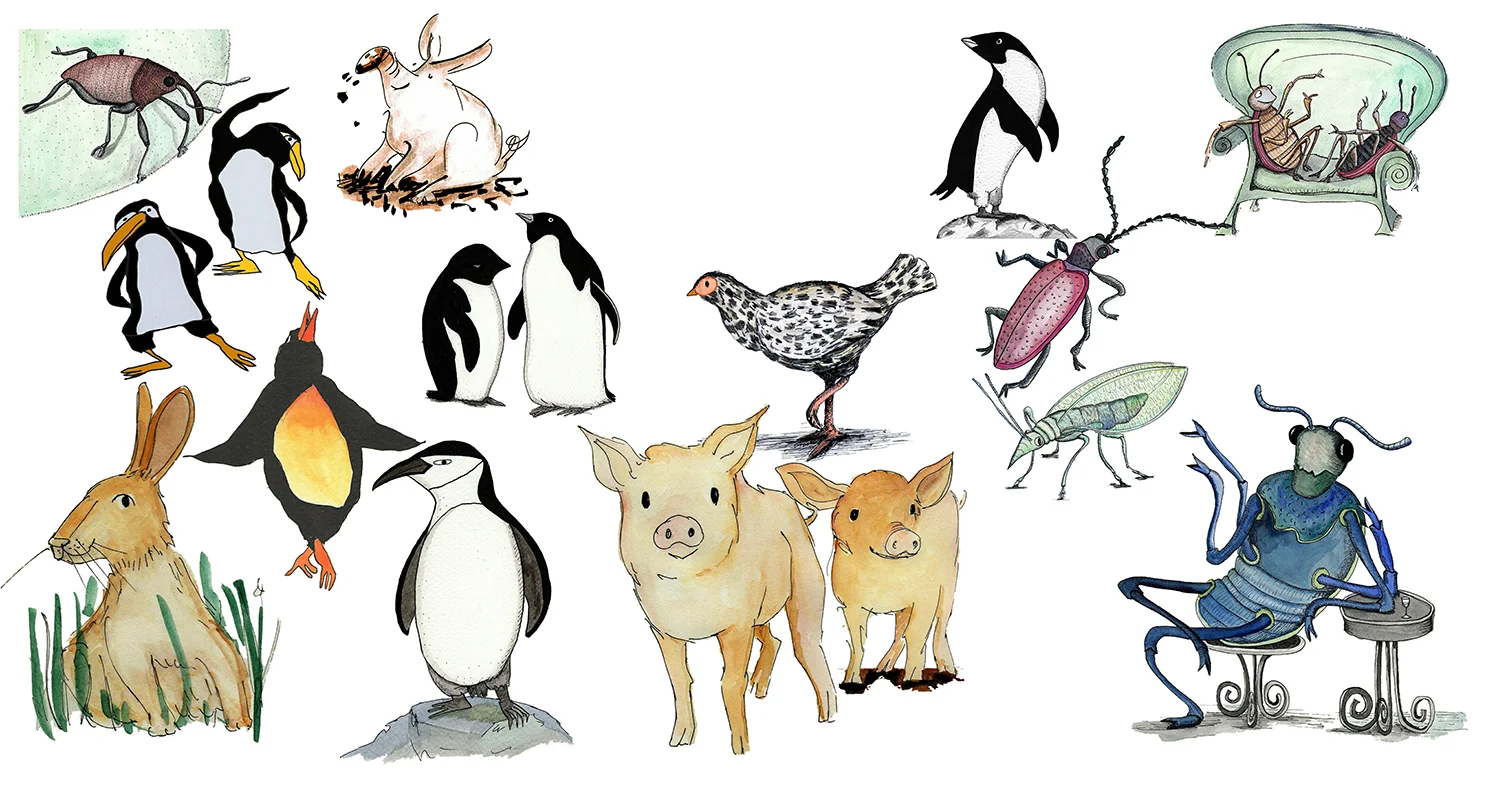 animals web1.jpg
