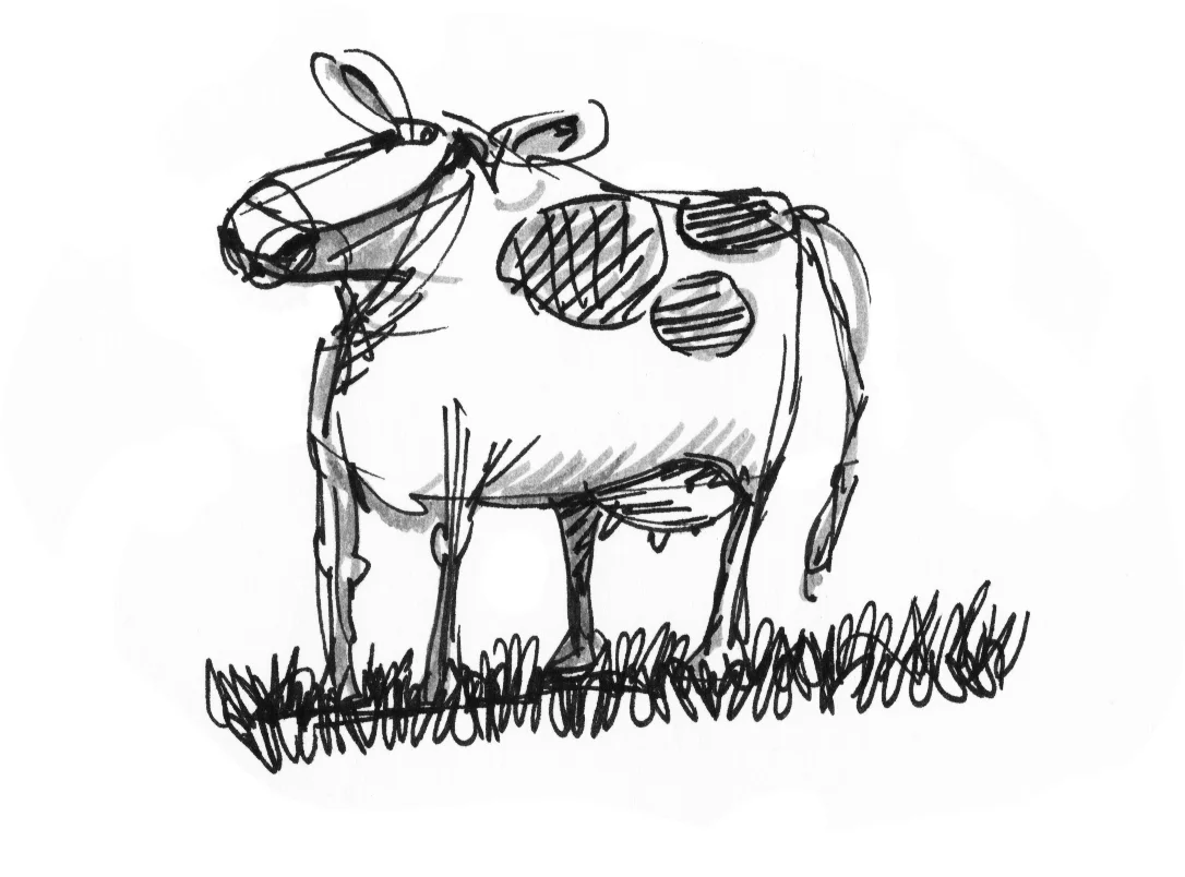cow5.jpg