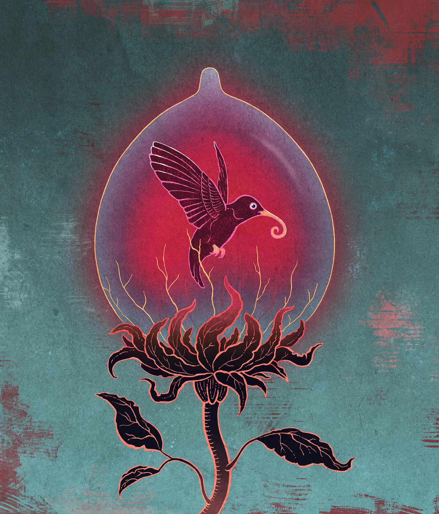 Hummingbird in a bubble flower, illustration