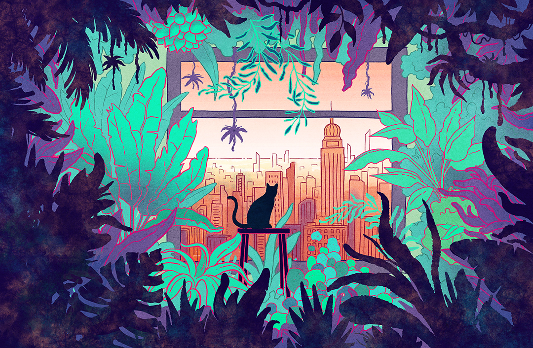 antoine-dore-illustration-plants-indoor-cat-jungle.jpg