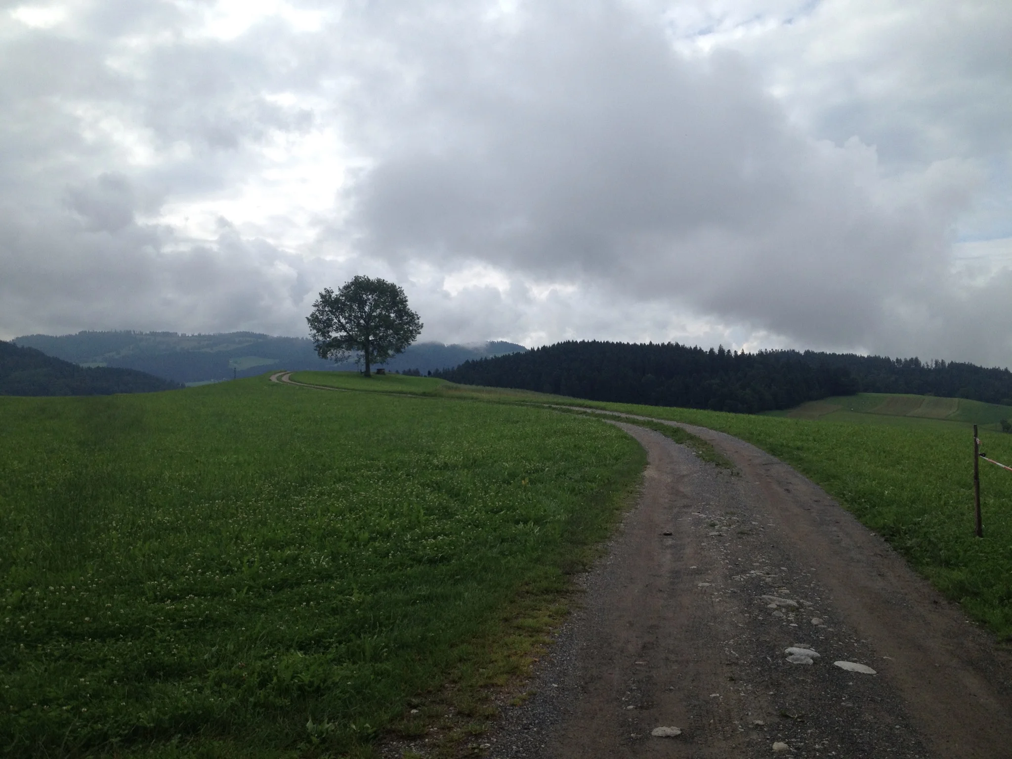 Häutligen