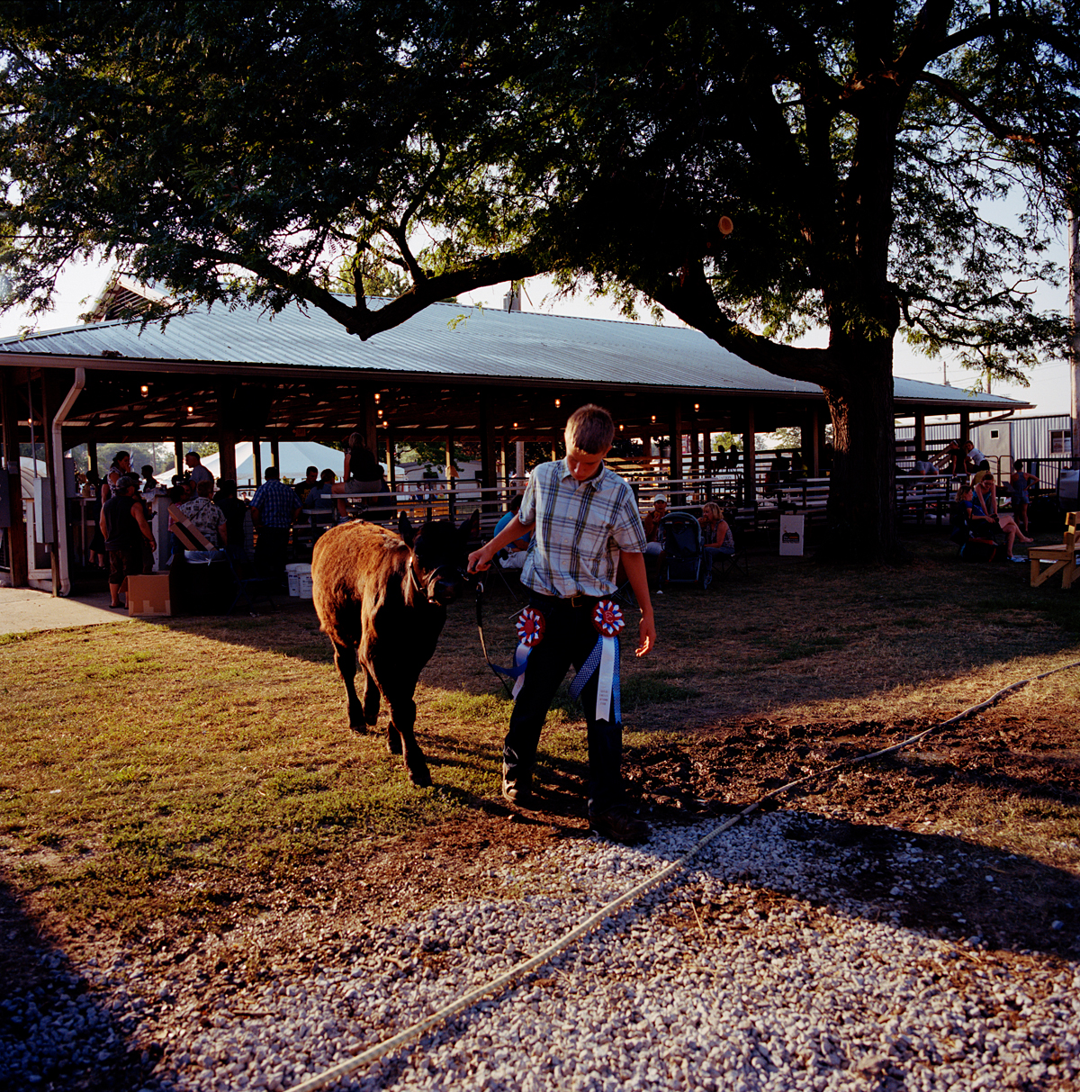 Lucas-County-Fair-Stephanie-Noritz-09.jpg