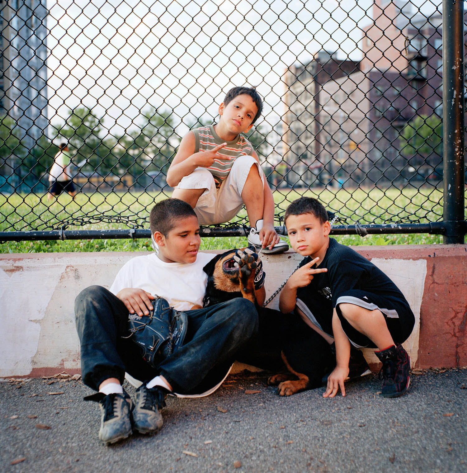 Little League in Brooklyn