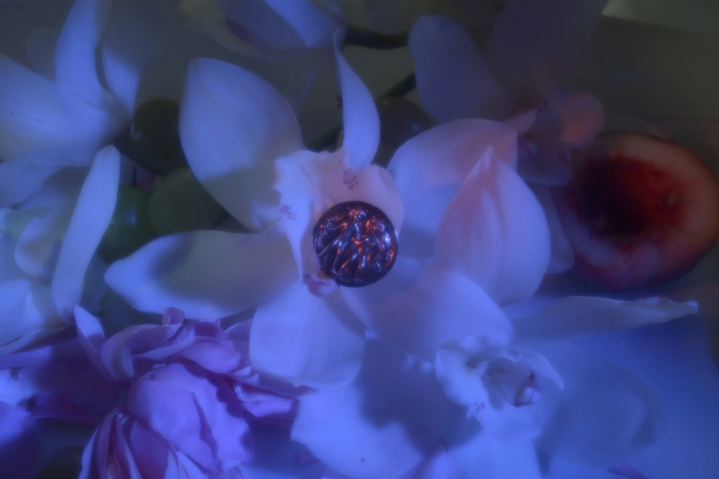 Adam and Eve ring.