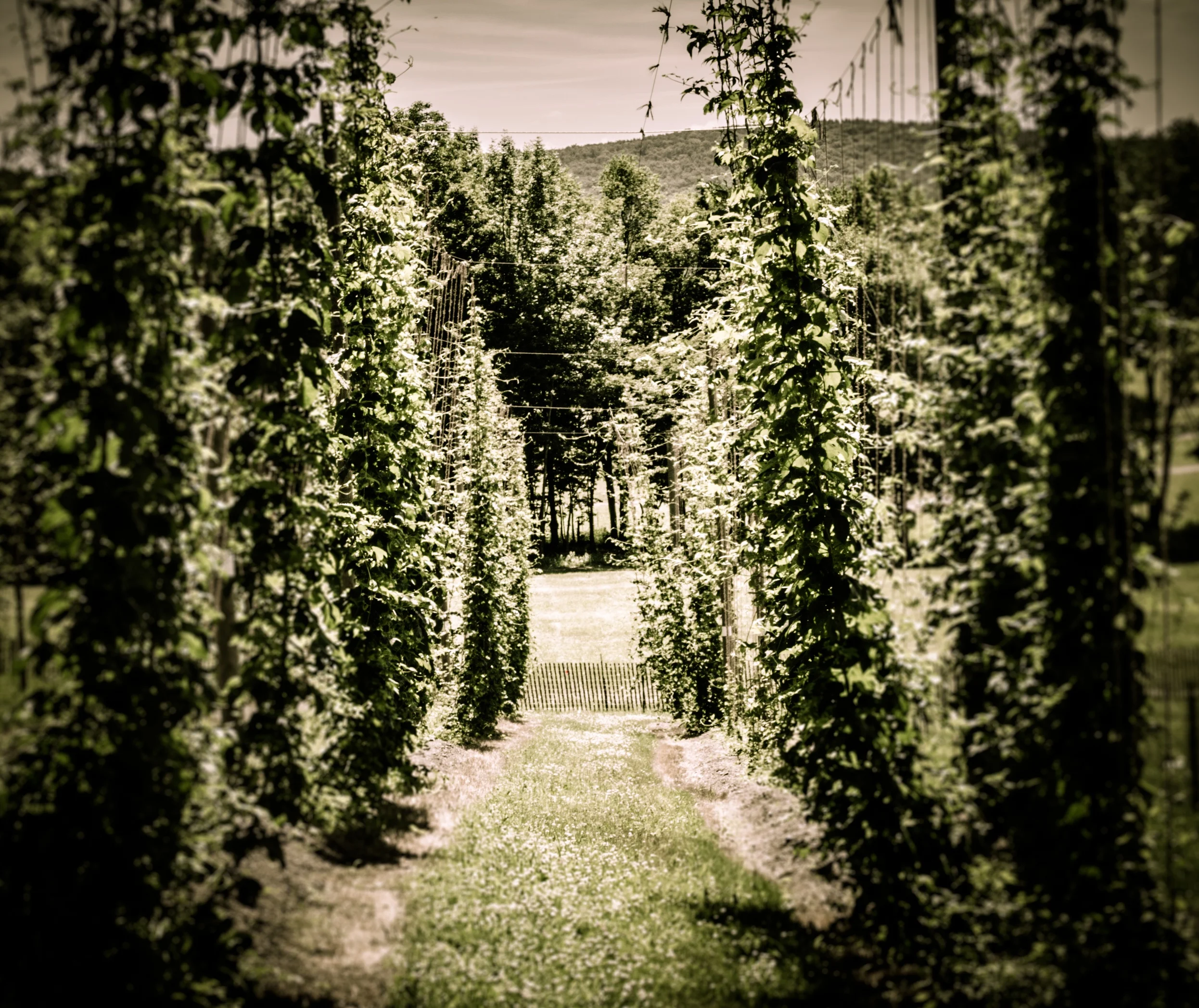 Ommegang Brewery