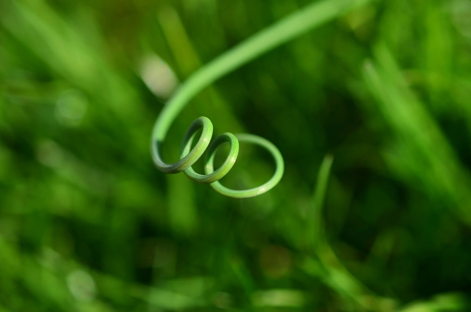 What is hypnotherapy & how does it sit with other therapies?