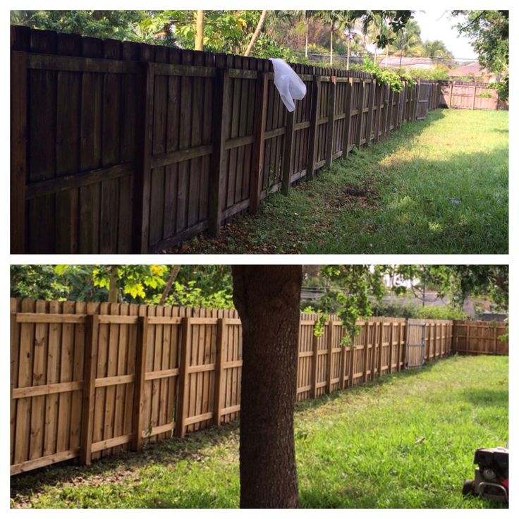 fence.jpg