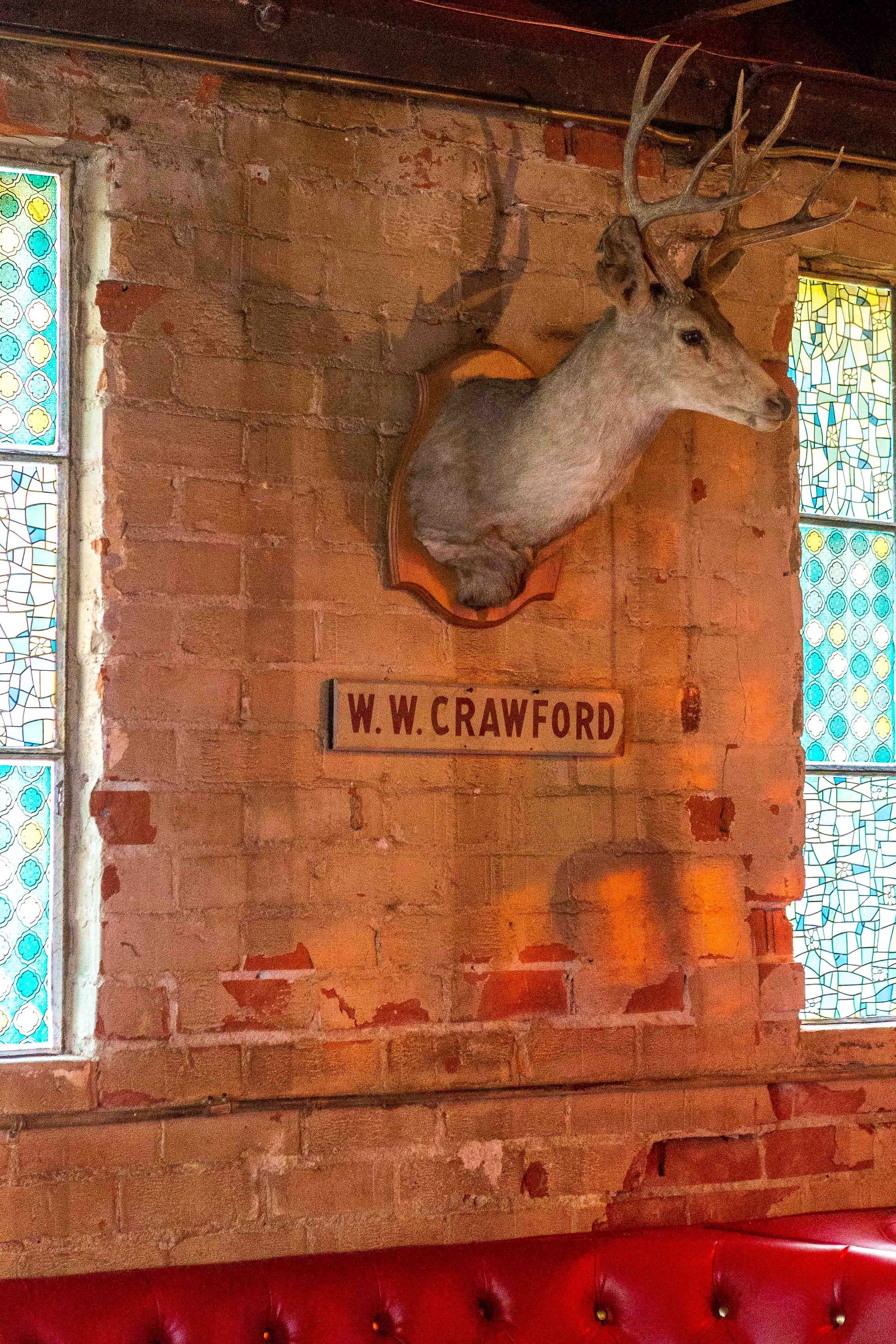 W. W. Crawford Deer Head