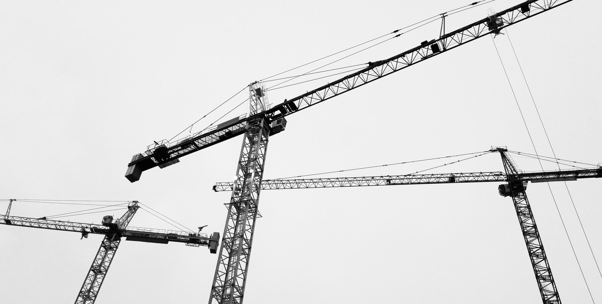 cranes.png