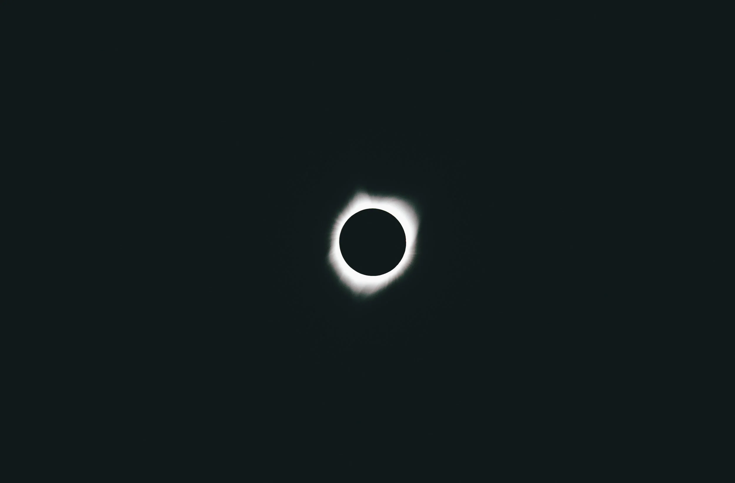 hd (1 of 1).jpg