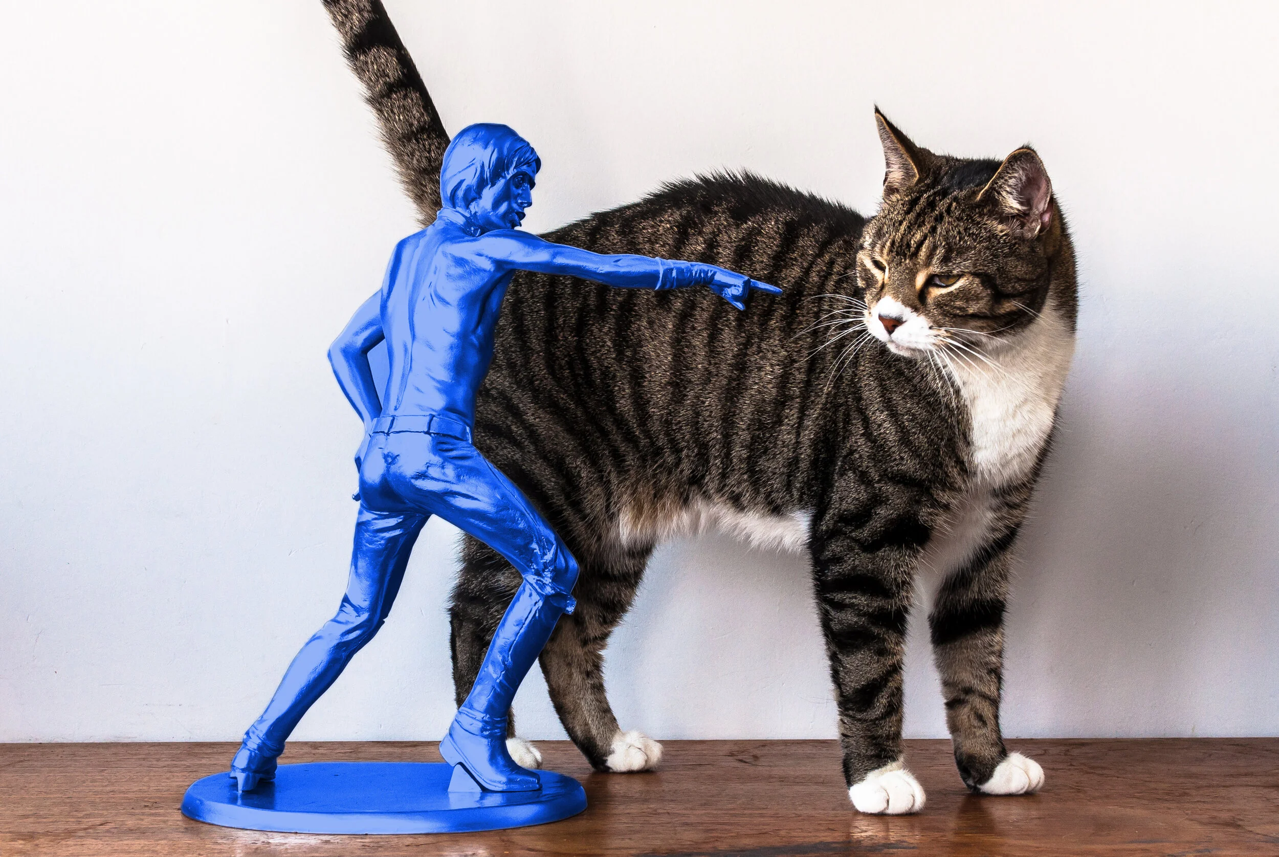 IGGY BLUE.jpg