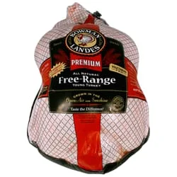 Bowman and Landes Turkey.jpg