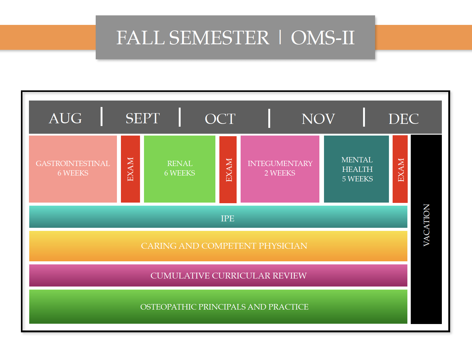 Fall sem OMS II.png