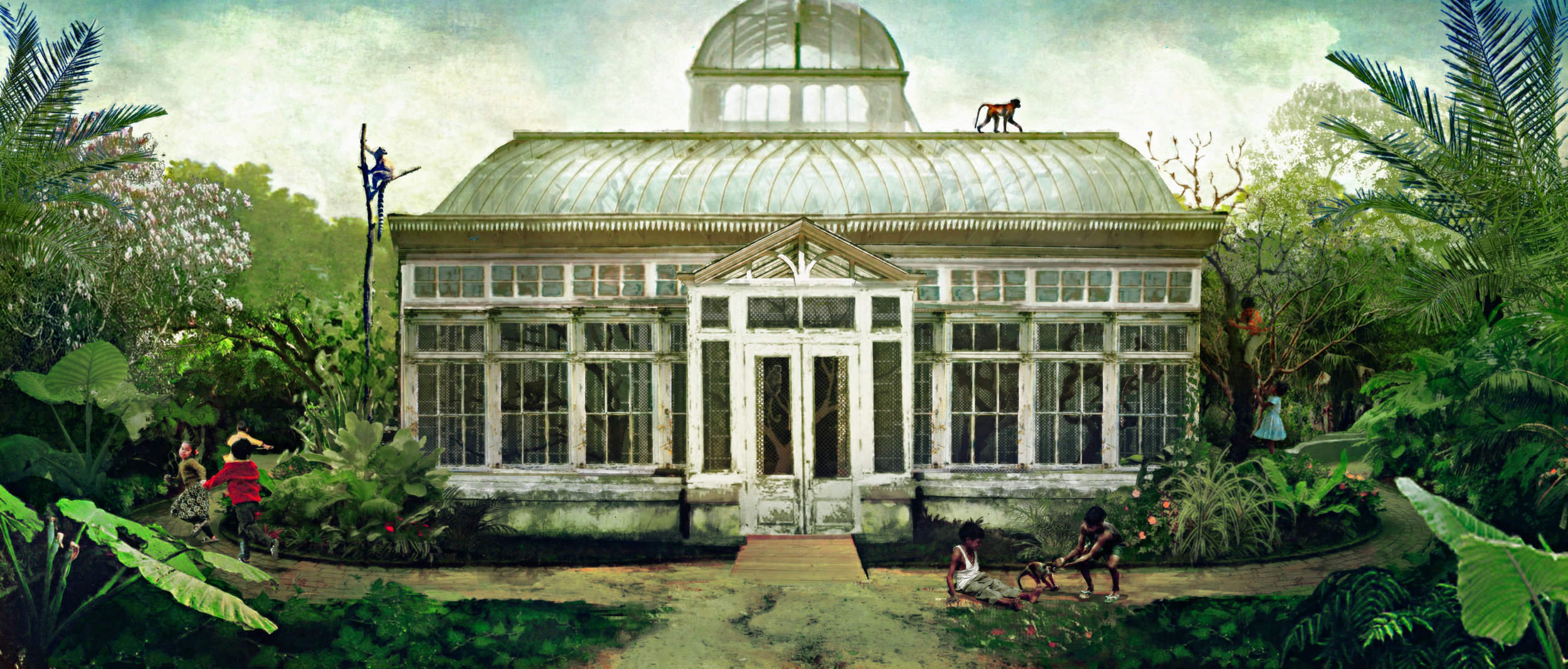 Illustration: Monkey Exhibit in Greenhouse (not filmed)