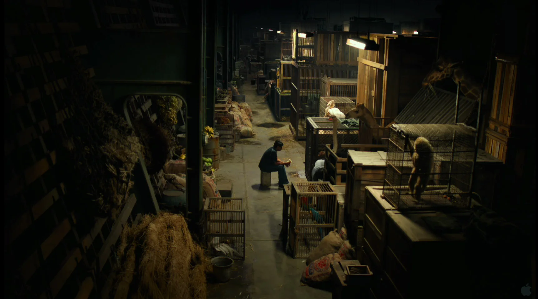 07b_CargoholdFILM.jpg