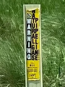 Weld County CO, 2023