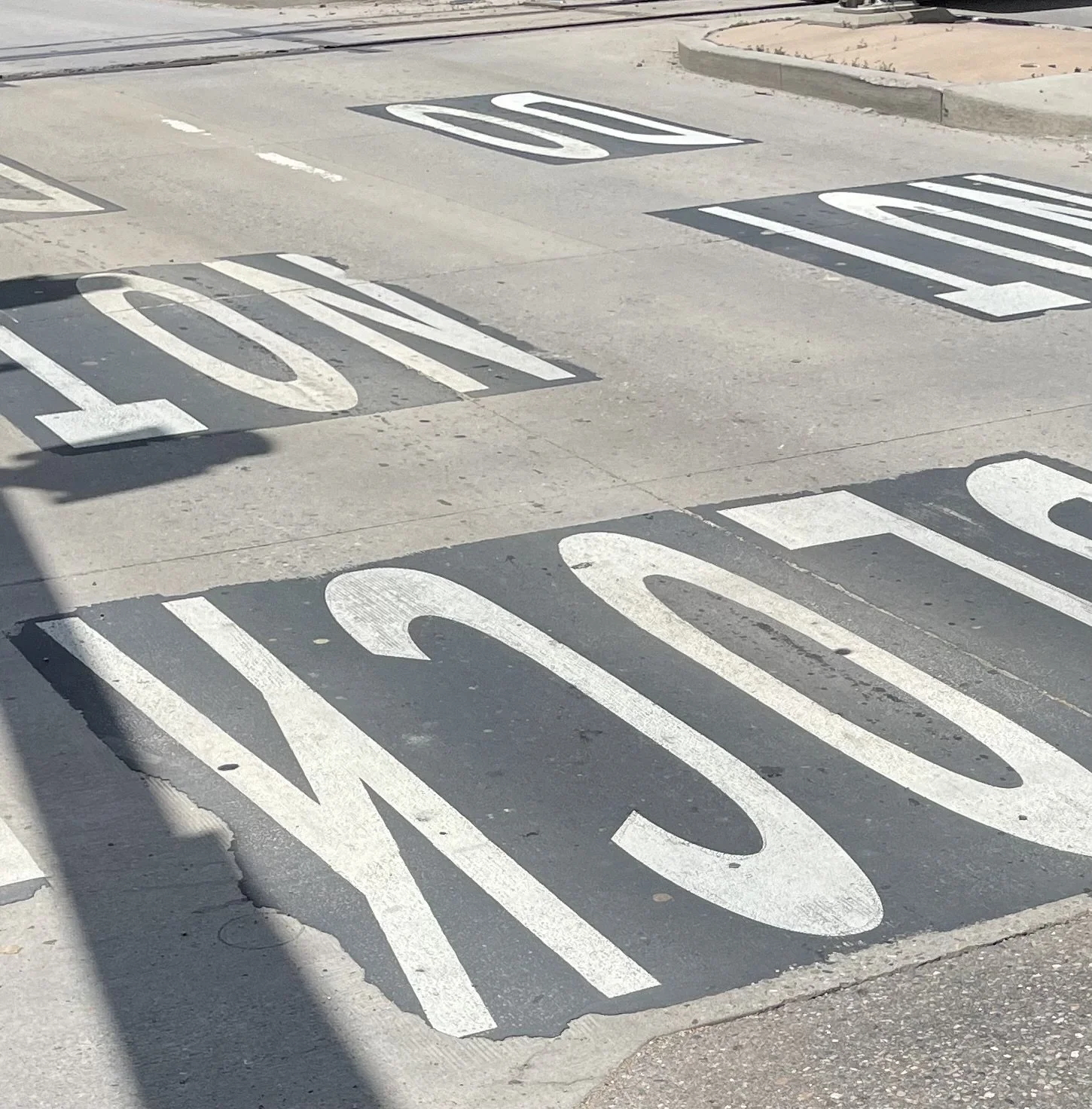  Larimer County CO 2029 