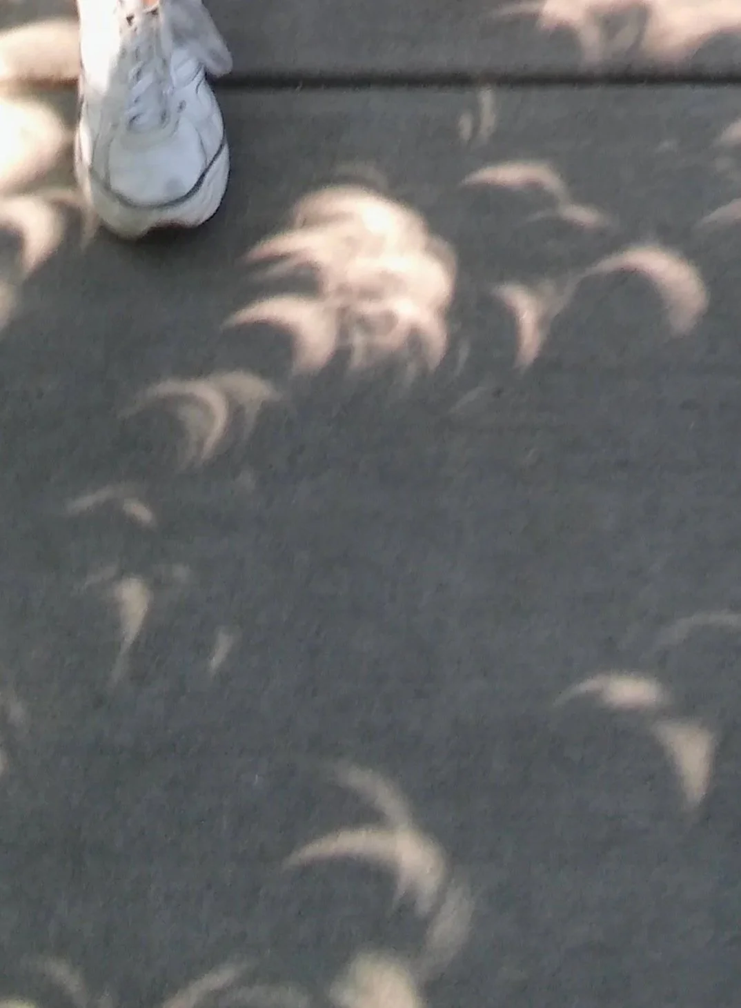  Larimer County CO (solar eclipse) 