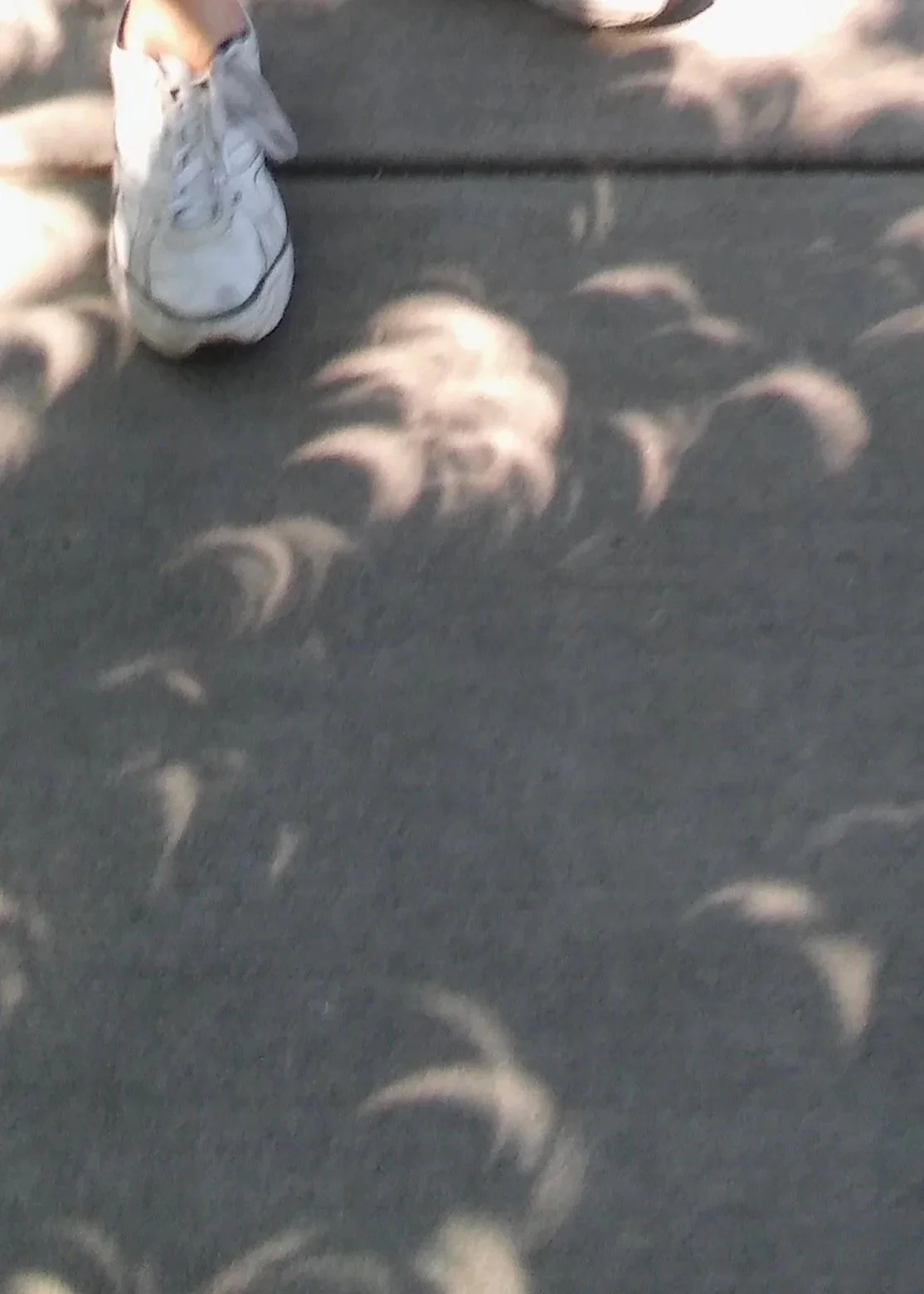  Colorado 2017 solar eclipse 