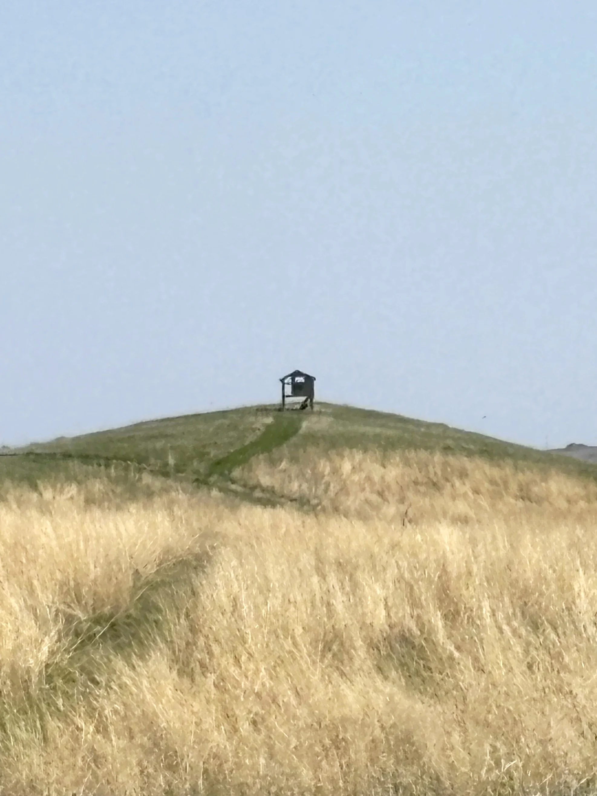 Bradley SD 2025