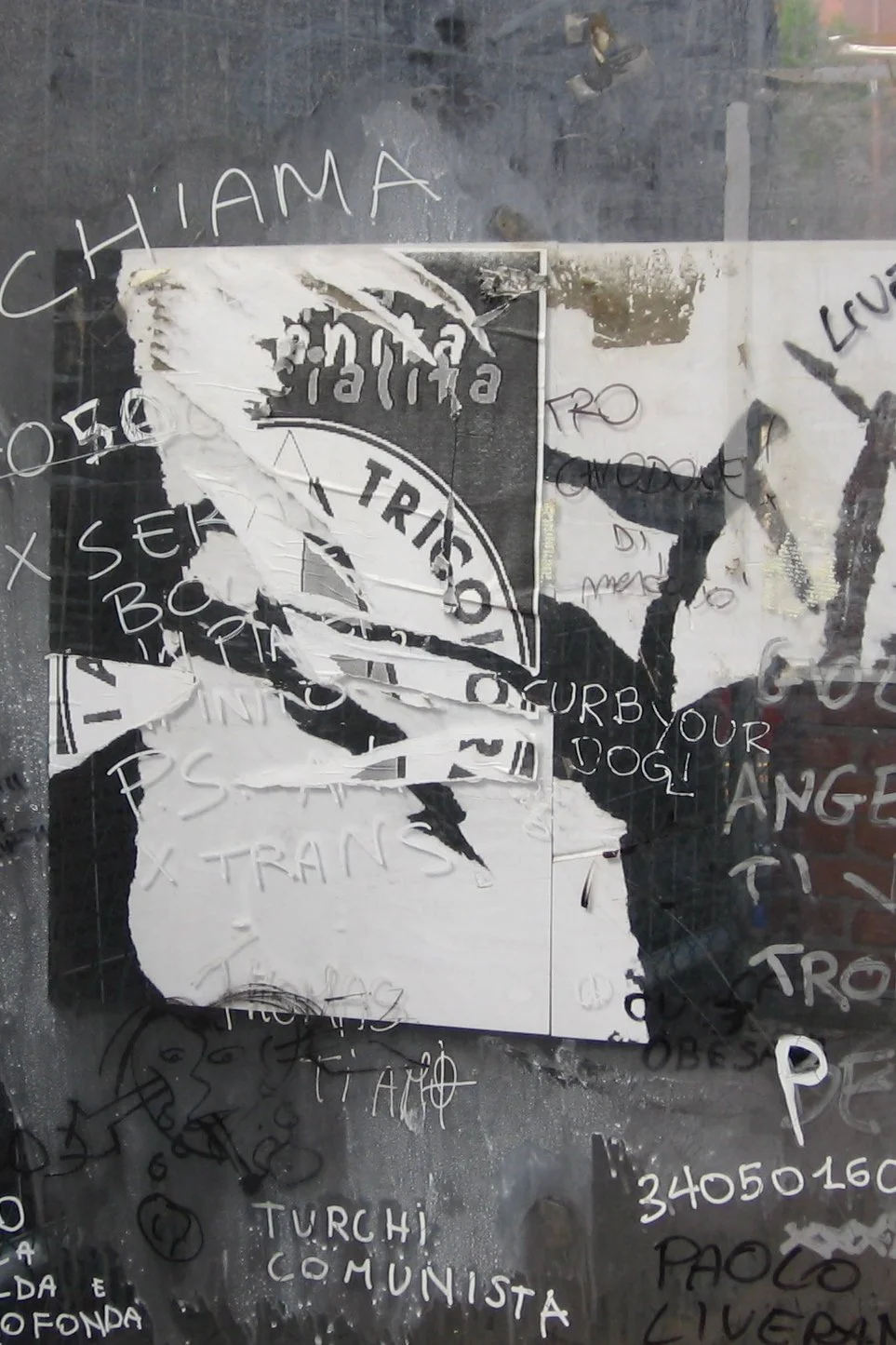  Arezzo 2008 