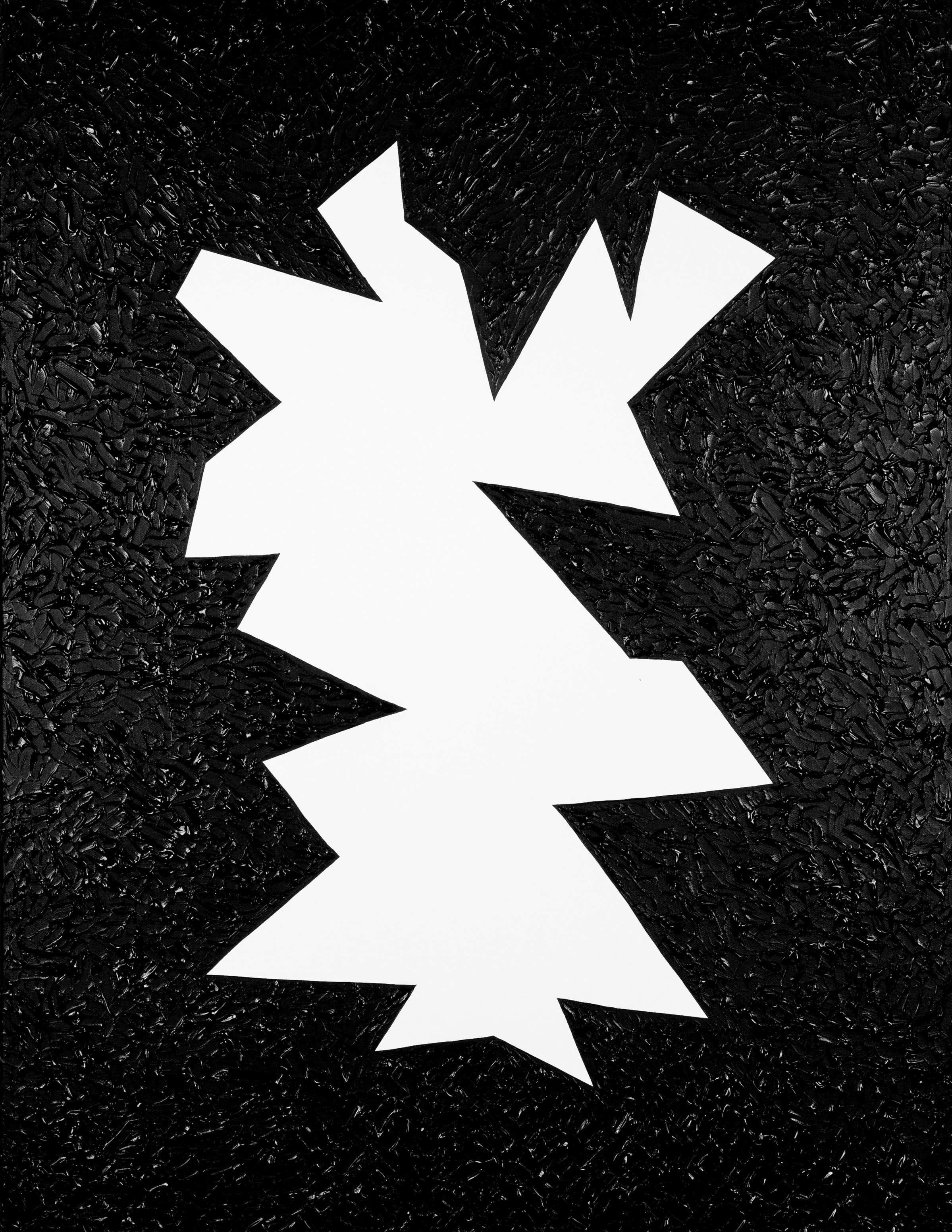 seed 4.1-full crop-Edit.jpg