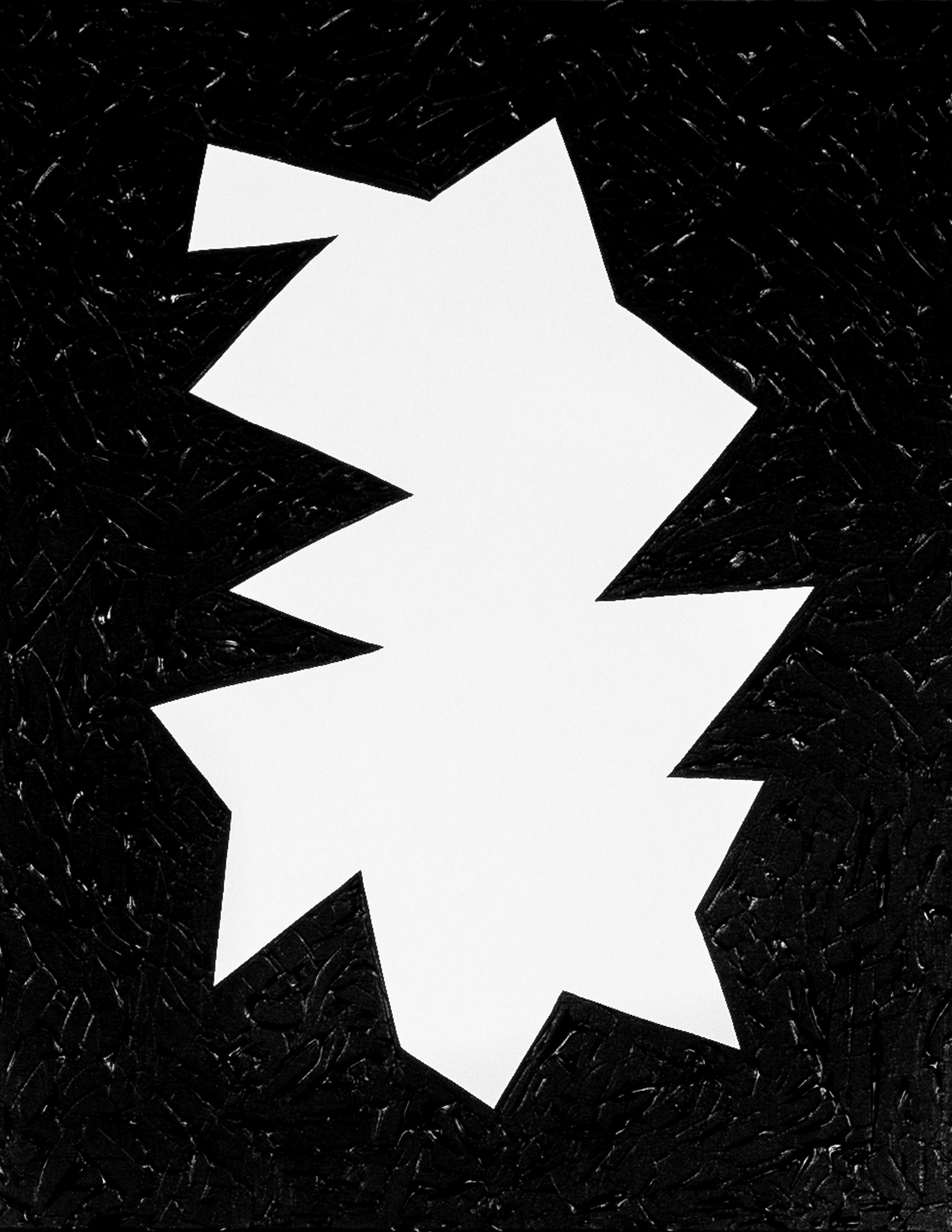 seed 2.2-full crop-Edit-2-2.jpg