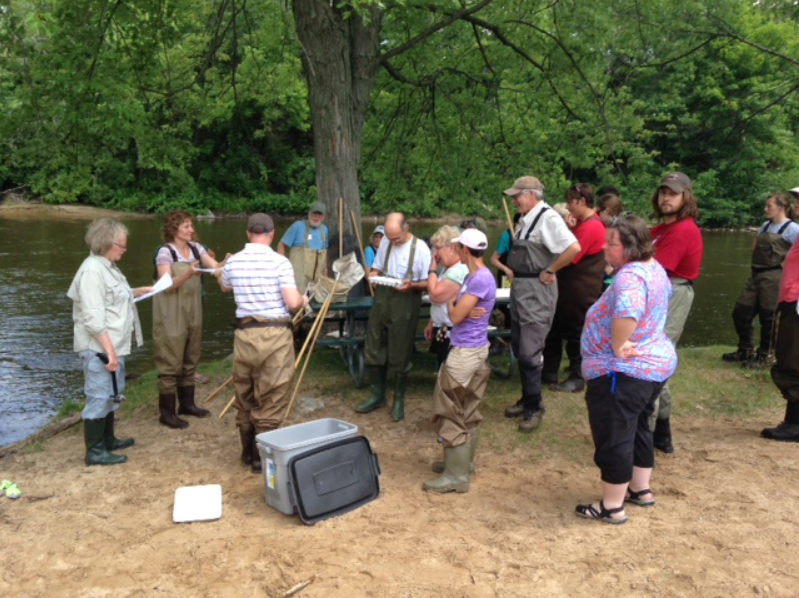 Project Small Creatures