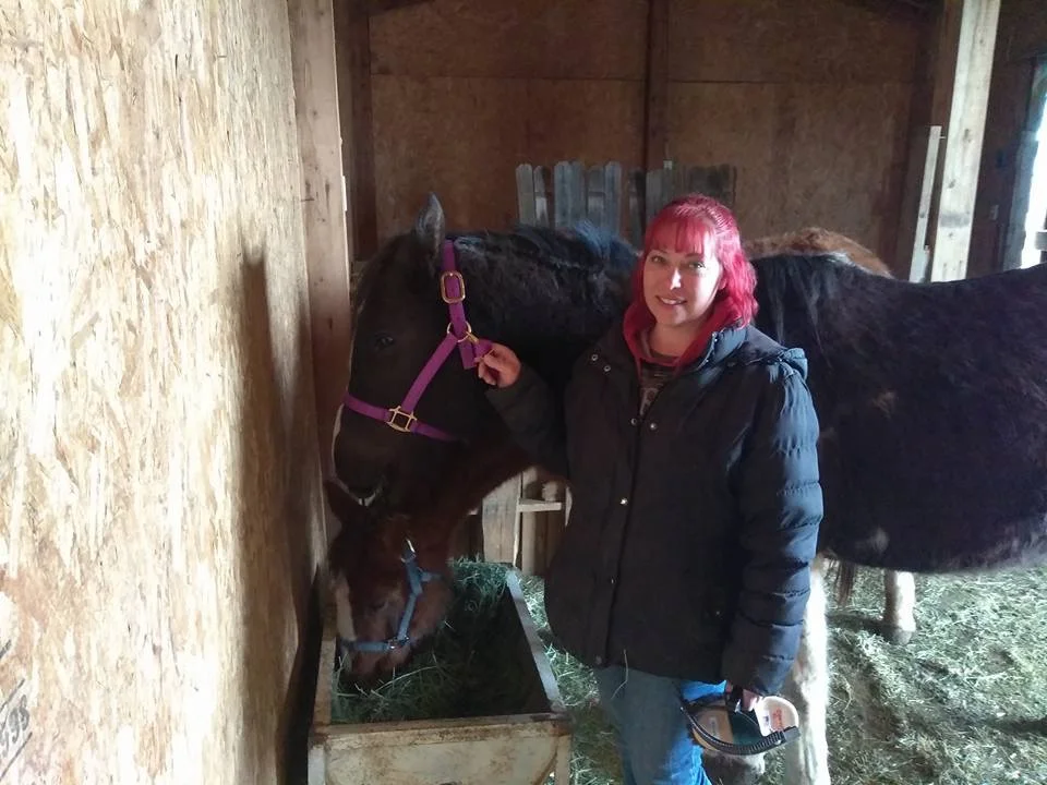 Meet our new Horses: Selene and Reba