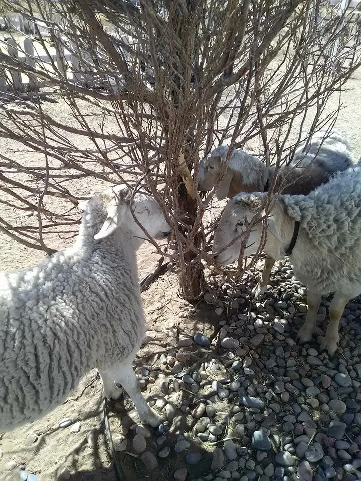 Enjoying the Beautiful Weather