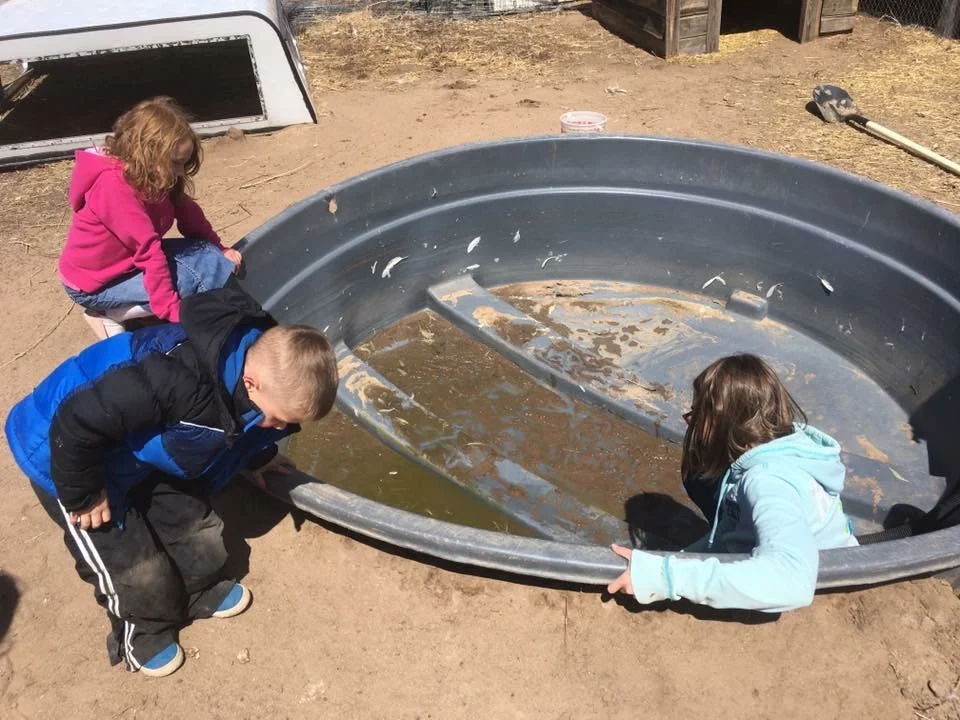 Volunteers Big and Small