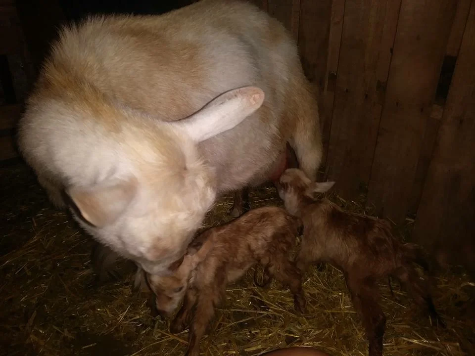 Congratulations Liz!