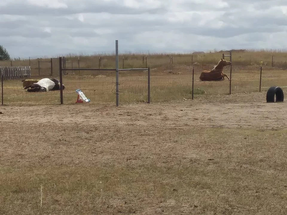 Stop, drop ANNND Roll!!!!